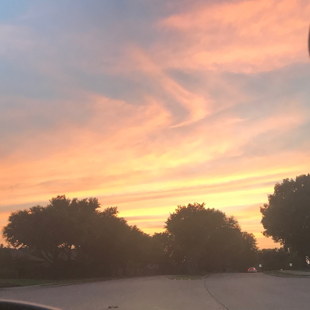 Meet your Posher, Kayde